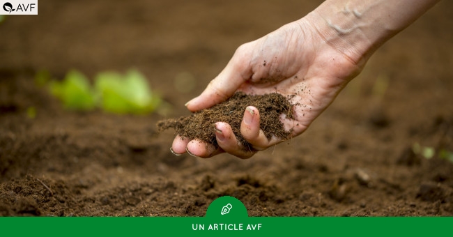 Peut-on fertiliser les sols sans fumier ni engrais chimiques