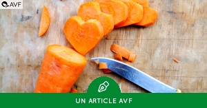 Le soja, un aliment sain et nutritif - AVF (Association Végétarienne de  France)