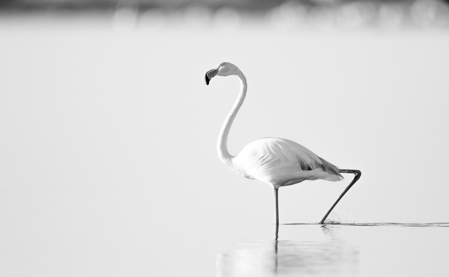 Ludovic Sueur, photographe du singulier 1