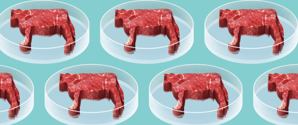 Viande cellulaire: quel impact écologique?