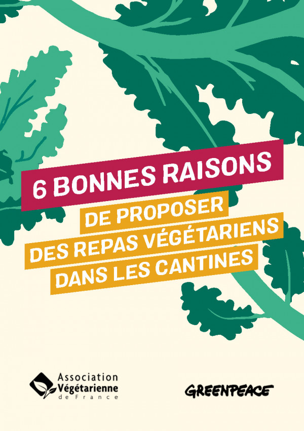 6 bonnes raisons de proposer des repas végétariens dans les cantines