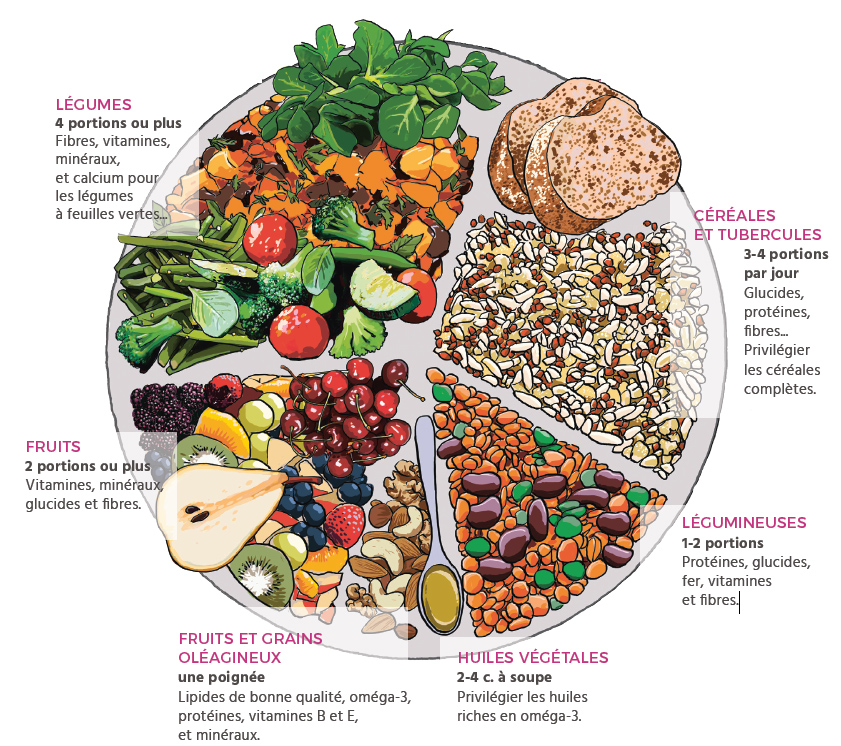 Une alimentation végétale saine et équilibrée : conseils pratiques - AVF  (Association Végétarienne de France)