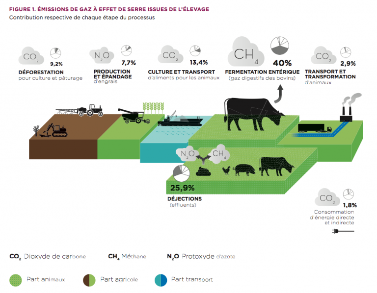 Gaz à effet de serre et élevage industriel AVF (Association