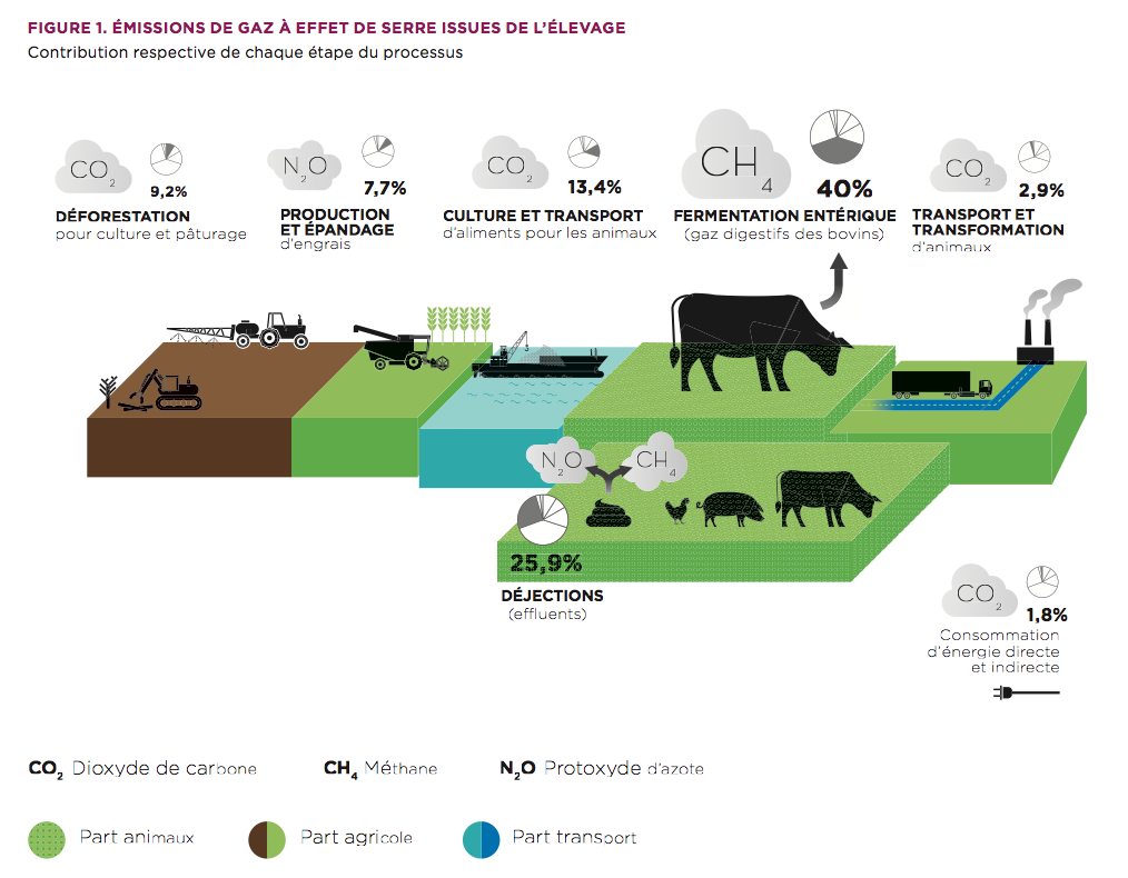 Transformations à venir dans le monde du transport