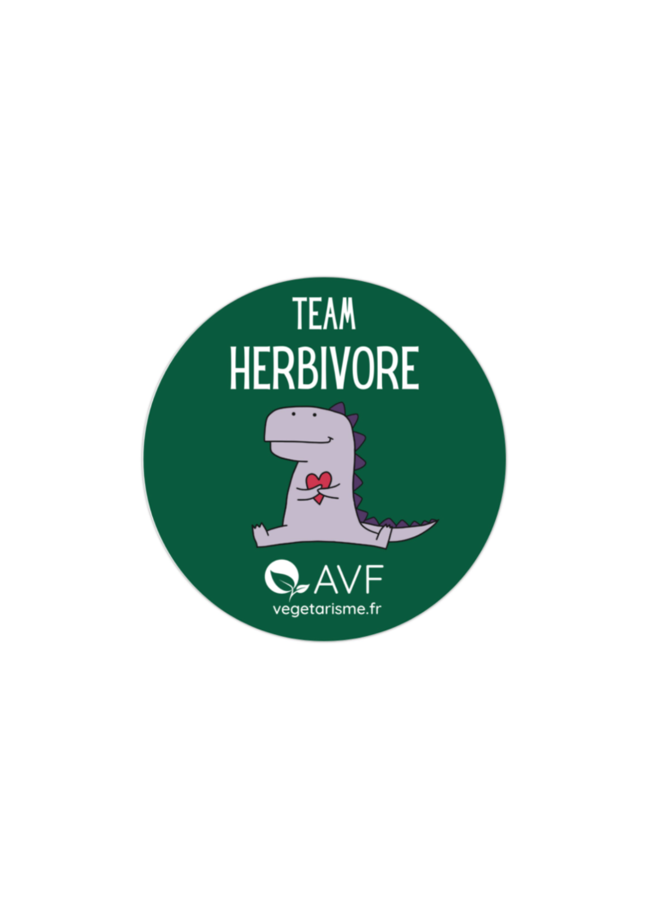 Team Herbivore Dinosaur Tazza Grande In Ceramica 500ml | Mug Con Dinosauri | Lavabile In Lavastoviglie E Microonde | Regalo Originale